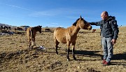 Pizzo Baciamorti e Monte Aralalta con giro ad anello da Capo Foppa di Pizzino l’8 dic. 2016 - FOTOGALLERY